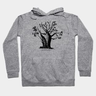 Boab Tree Hoodie